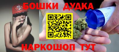 индика Братск
