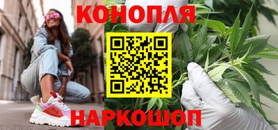 индика Братск
