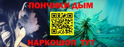 индика Братск