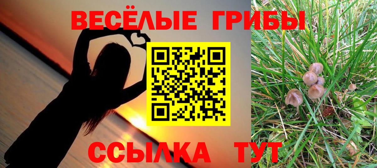 Галлюциногенные грибы прущие грибы Воркута